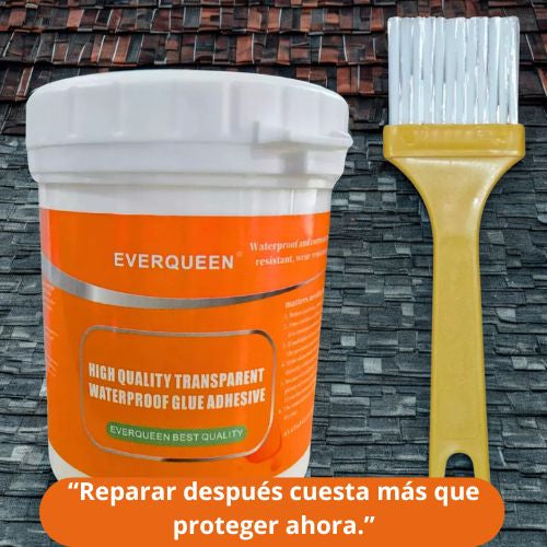 Everqueen Sellador impermeable transparente 1 KG + Brocha